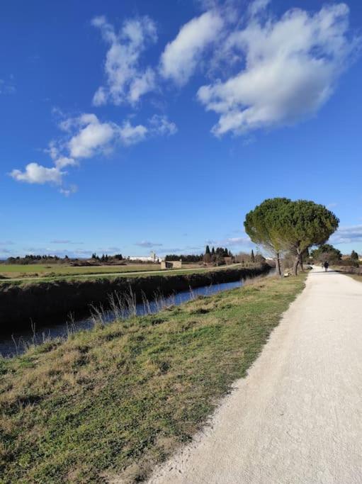 Mobil-Home Dans Un Beau Cadre A 15 Km Des Plages. Lunel  Exterior foto